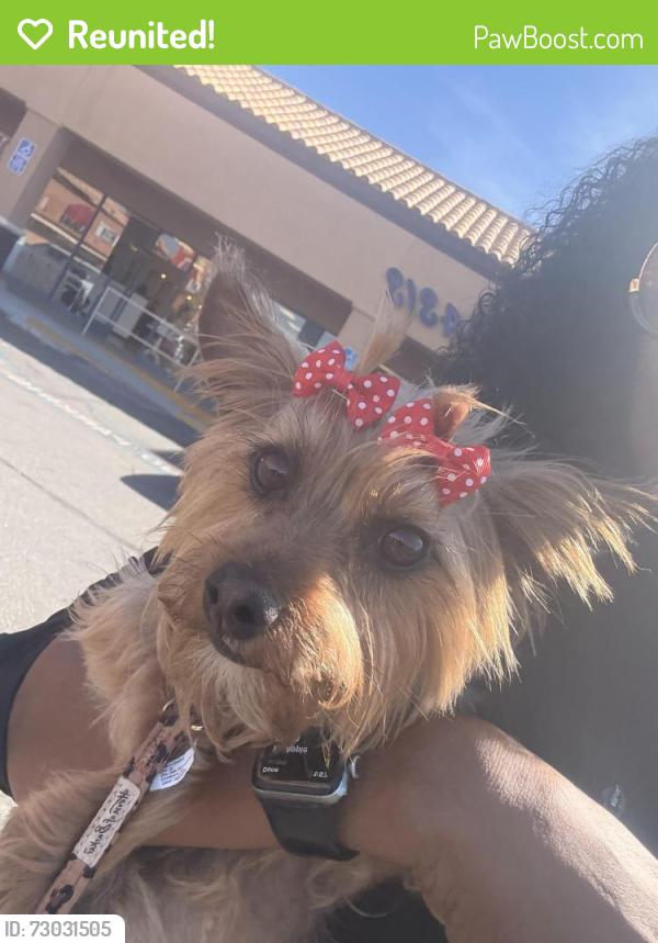Reunited Female Dog last seen Armagosa Rd/ behind Victorville Mall area, Victorville, CA 92307