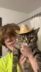 Lost Female Cat last seen Corner of 9th Ave S & 18th St S, Fargo, ND 58103