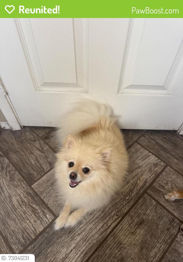 Reunited Female Dog last seen Mission George rd , San Diego, CA 92120