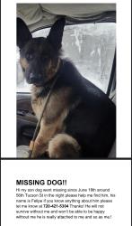 Lost Male Dog last seen Tucson St Denver, Denver, CO 80239