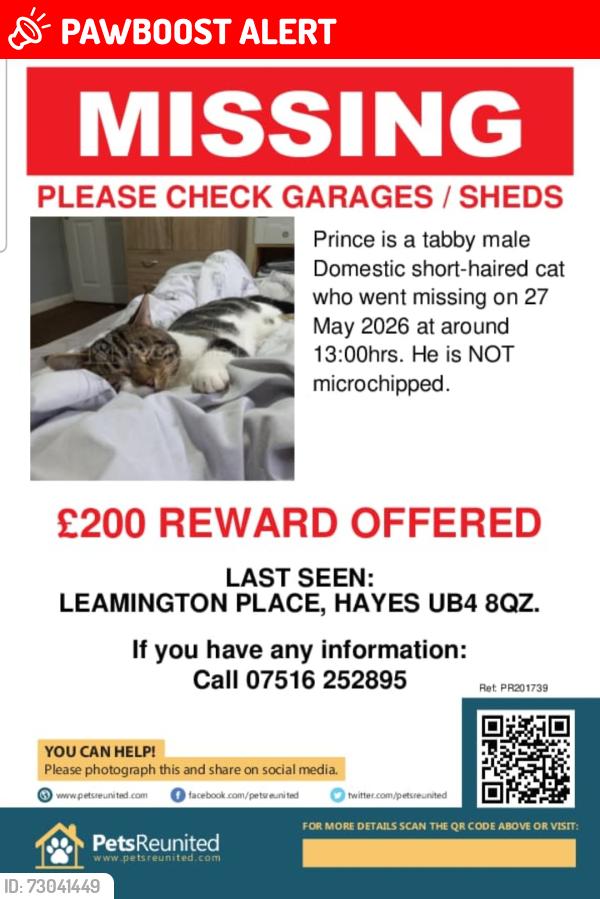 Lost Male Cat last seen Kingshill avemue , Greater London, England UB4
