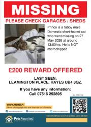 Lost Male Cat last seen Kingshill avemue , Greater London, England UB4