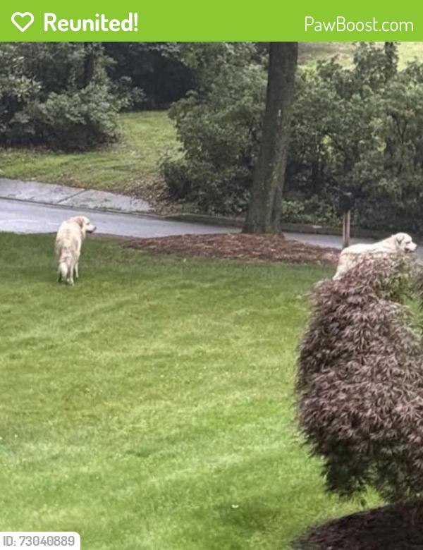 Reunited Female Dog last seen Sunken meadow rd , Josephine rd , Ft Salonga , Fort Salonga, NY 11768