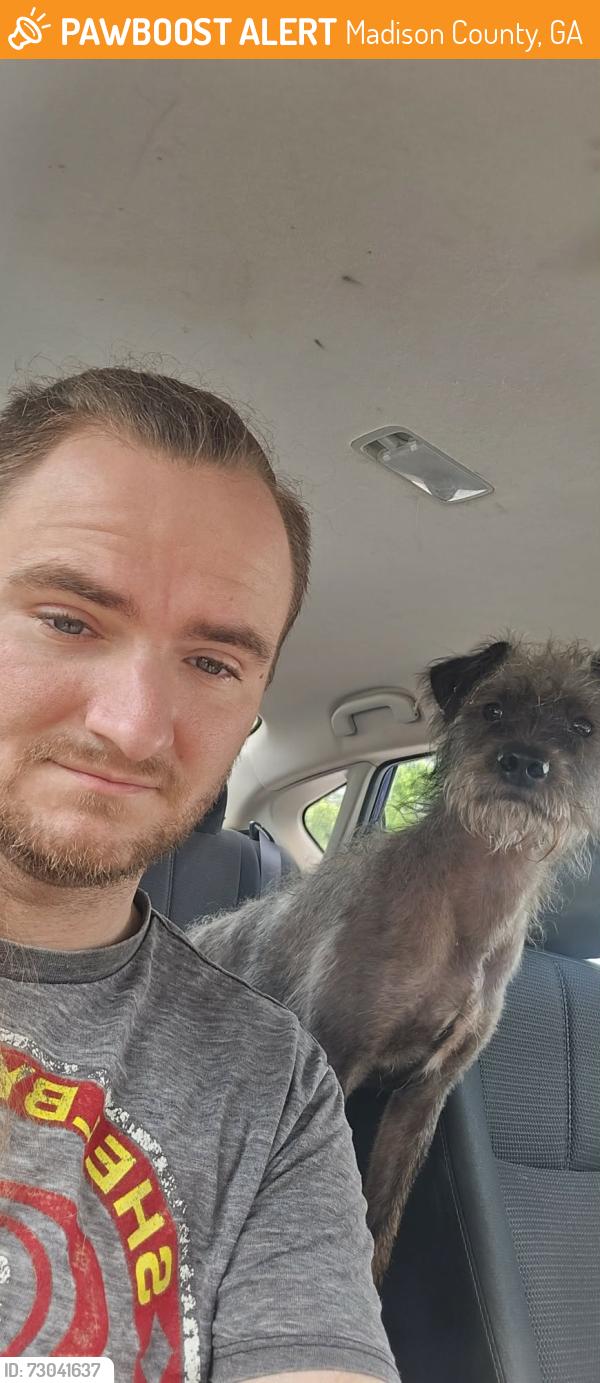Found/Stray Male Dog last seen Hwy 106, Madison County, GA 30633