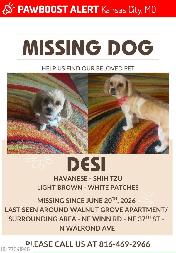 Lost Female Dog last seen Near N Walrond Ave Kansas City Mo 64117 United States, Kansas City, MO 64117