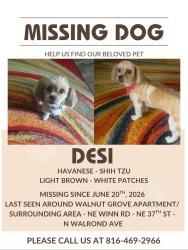 Lost Female Dog last seen Near N Walrond Ave Kansas City Mo 64117 United States, Kansas City, MO 64117