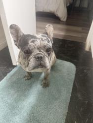 Lost Female Other last seen Sunrise ests Community, Las Vegas, NV 89142