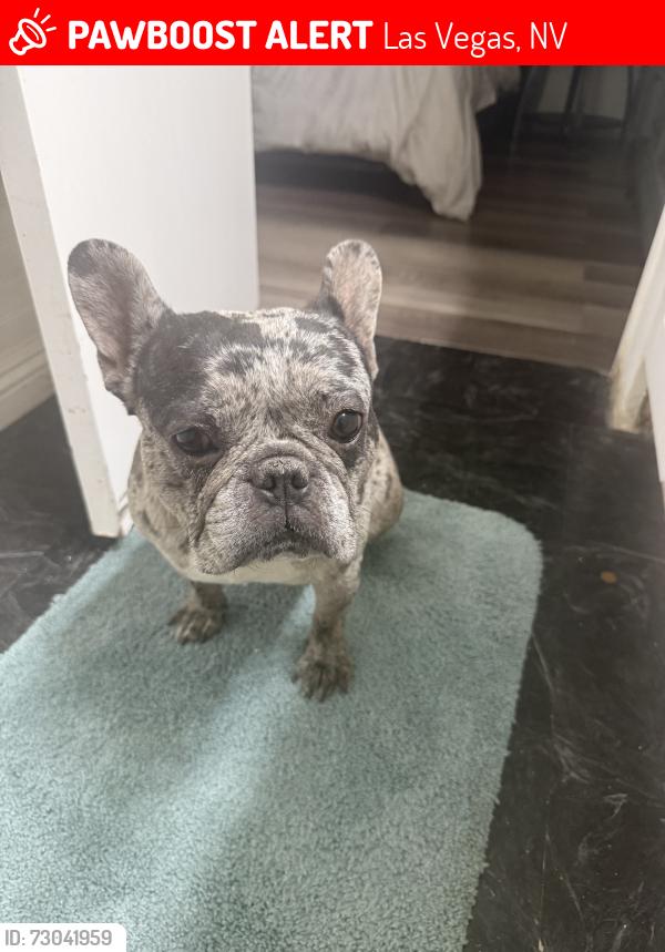 Lost Female Other last seen Sunrise ests Community, Las Vegas, NV 89142