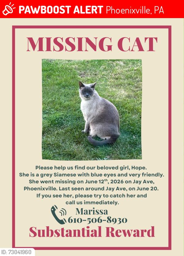 Lost Female Cat last seen Last seen on a front porch of hse on Jay Avenue, Phoenixville, PA 19460