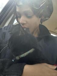 Lost Male Cat last seen it’s a church on the corner of our block, Detroit, MI 48223
