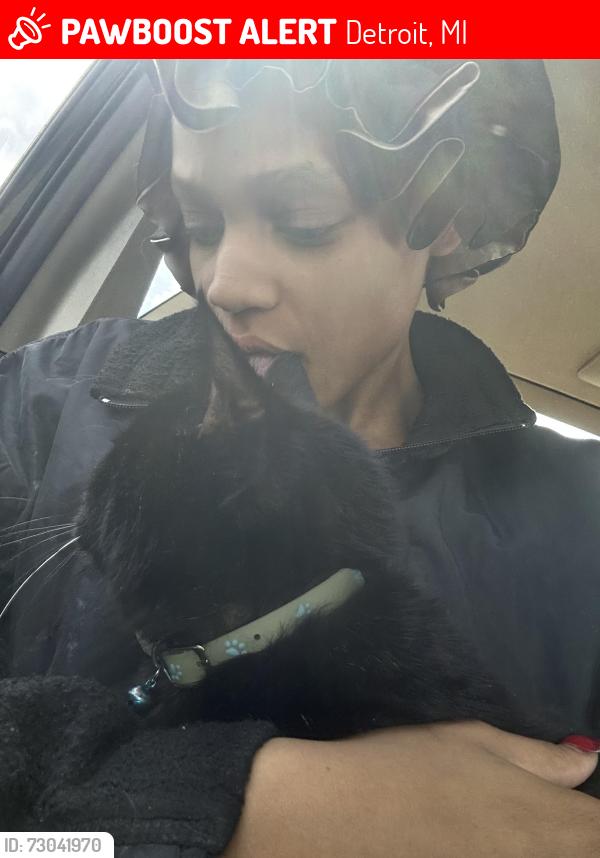 Lost Male Cat last seen it’s a church on the corner of our block, Detroit, MI 48223