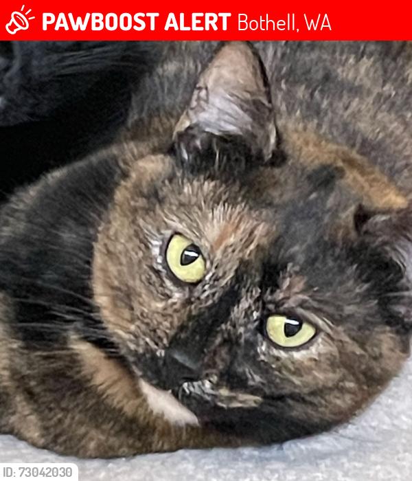 Lost Female Cat last seen Near 240th St SE and 39th Ave SE, Bothell, WA 98021