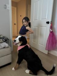 Lost Female Dog last seen Ferneaux, Carrollton, TX 75007