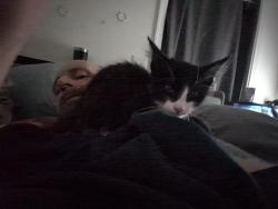 Found/Stray Unknown Cat last seen Bayo way and i-5 S out by aa valley airport, Sacramento, CA 95835