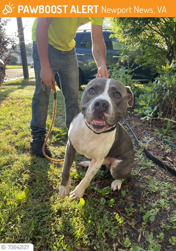 Found/Stray Male Dog last seen Monitor Merrimac Bridge, Newport News, VA 23607