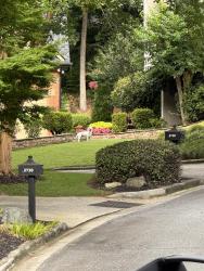 Found/Stray Unknown Dog last seen Lake Forest Drive, Atlanta, GA 30328