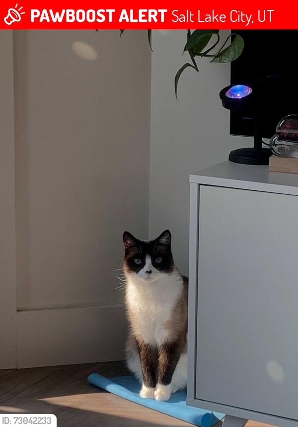 Lost Male Cat last seen Near N Center St SLC, Salt Lake City, UT 84103