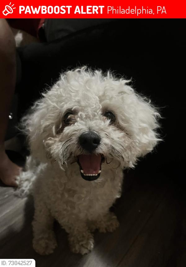 Lost Male Dog last seen Leon street, Philadelphia, PA 19136
