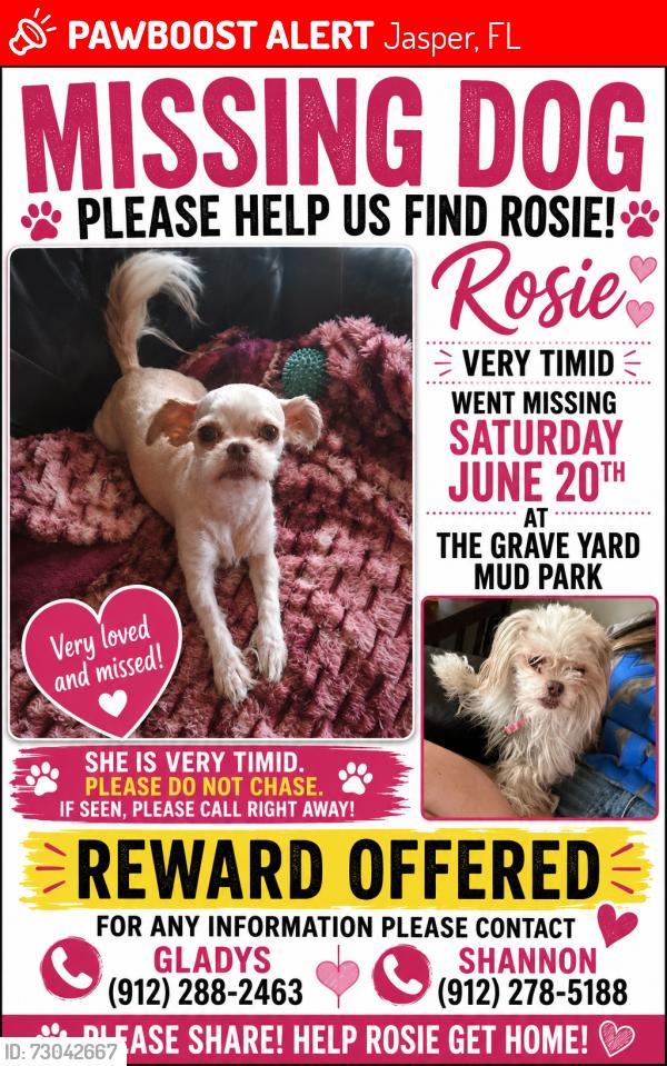 Lost Female Dog last seen The Grave Yard Mud Park, Jasper, FL 32052