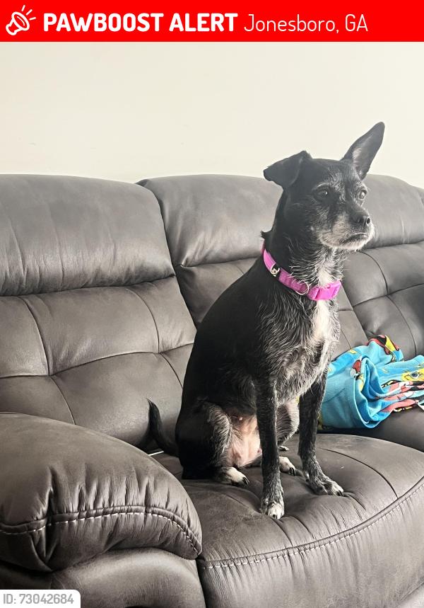 Lost Female Dog last seen Interlaken pass, Jonesboro, GA 30238