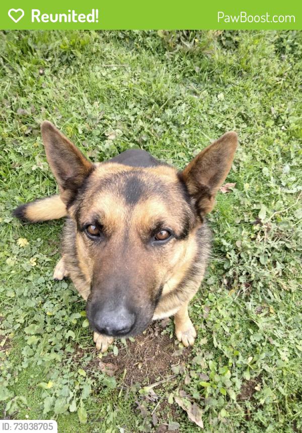 Reunited Male Dog last seen Harris trail , Fallbrook, CA 92028