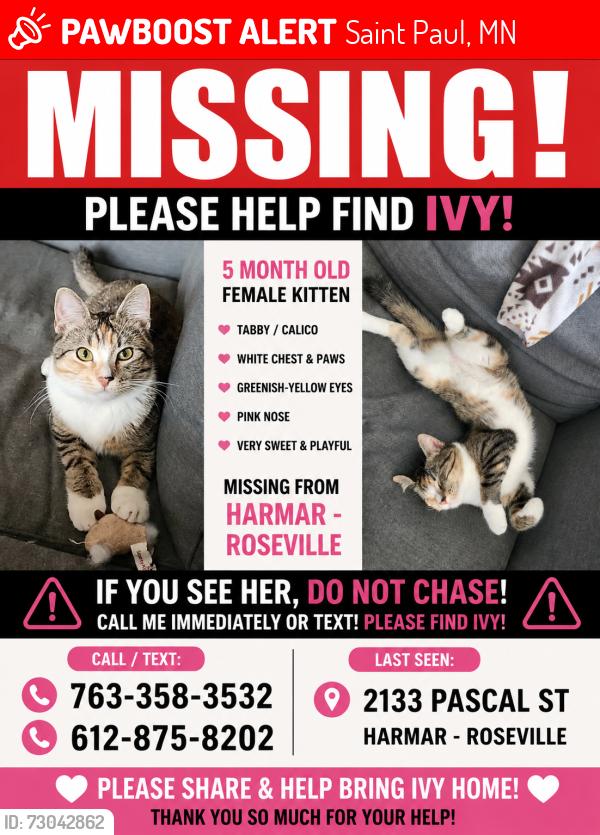 Lost Female Cat last seen Burke, Pascal, HARMAR MALL, Saint Paul, MN 55113