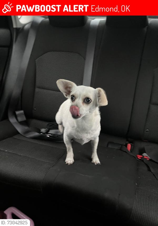 Lost Female Dog last seen Fretz & Bryan, Edmond, OK 73003