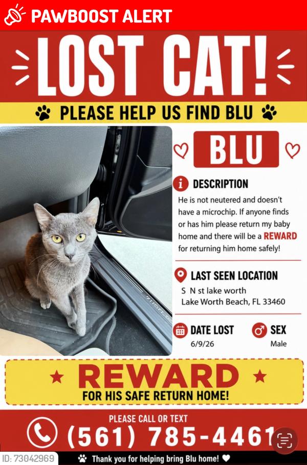 Lost Male Cat last seen S N St, Lake Worth Beach, FL 33460