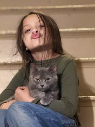 Lost Female Cat last seen Stevens pond rd, liberty, Liberty, ME 04949
