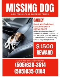 Lost Female Dog last seen Coors ranch and don felipe, Albuquerque, NM 87121