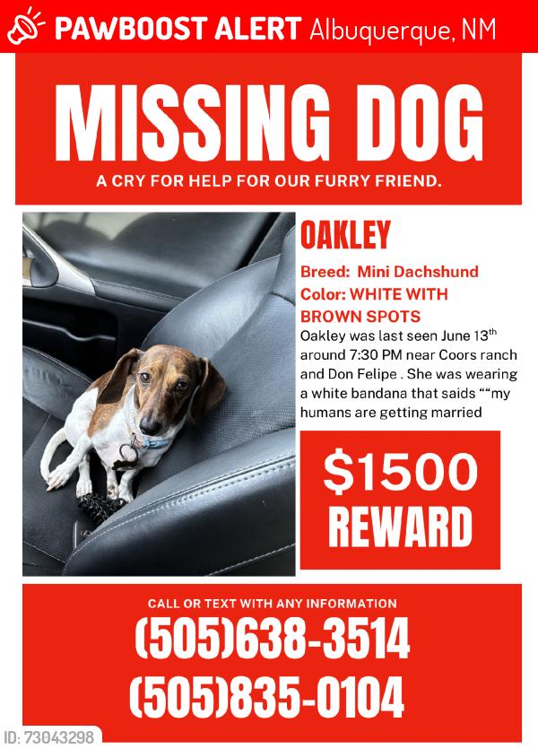 Lost Female Dog last seen Coors ranch and don felipe, Albuquerque, NM 87121