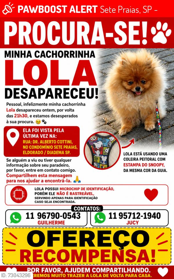 Lost Female Dog last seen Condomínio sete praias / eldorado diadema, Sete Praias, SP 04477-060