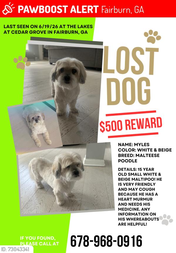 Lost Male Dog last seen Waterlace Dr at the Lakes at Cedar Grove, Fairburn, GA 30213