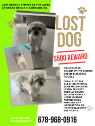 Lost Male Dog last seen Waterlace Dr at the Lakes at Cedar Grove, Fairburn, GA 30213