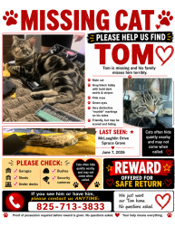 Lost Male Cat last seen Spruce grove kal tire , Spruce Grove, AB T7X 0E1