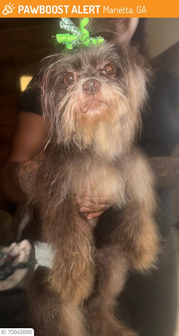 Found/Stray Female Dog last seen Favor Road , Marietta, GA 30060