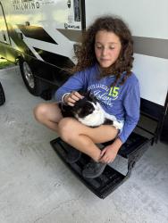 Lost Male Cat last seen Eastfront st new Bern nc, New Bern, NC 28560