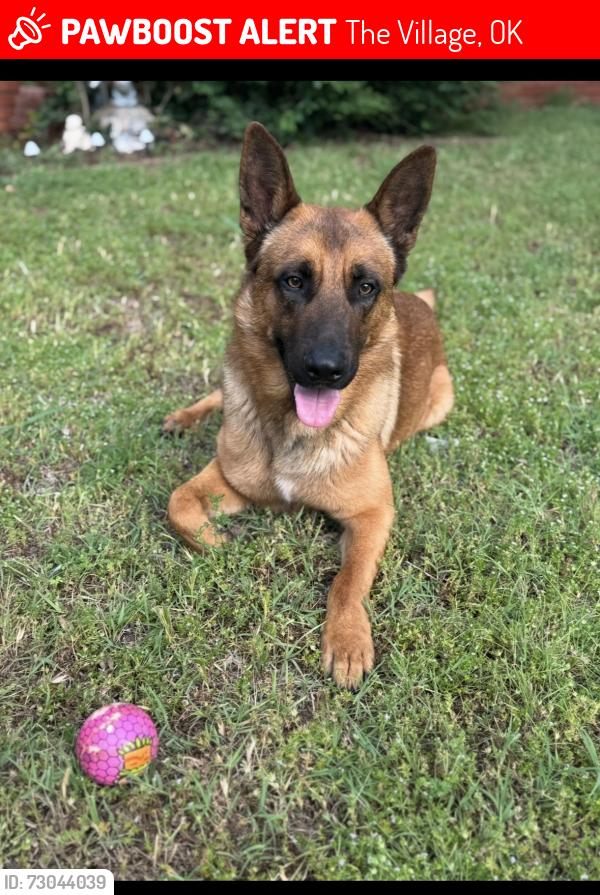 Lost Male Dog last seen The village city hall, N May church, The Village, OK 73120