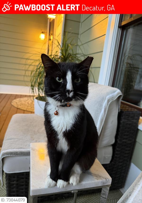 Lost Male Cat last seen Walmart Gresham avenue , Decatur, GA 30032