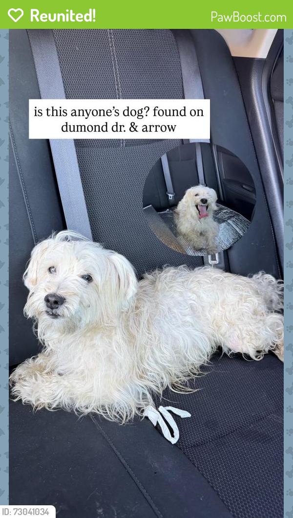 Reunited Male Dog last seen Near Dumond Dr, Fontana, CA 92335, USA, Fontana, CA 92335