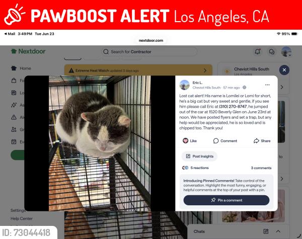 Lost Male Cat last seen Near South Beverly Glen in garage , Los Angeles, CA 90024
