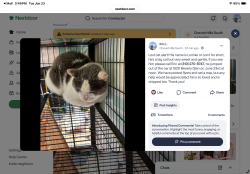 Lost Male Cat last seen Near South Beverly Glen in garage , Los Angeles, CA 90024