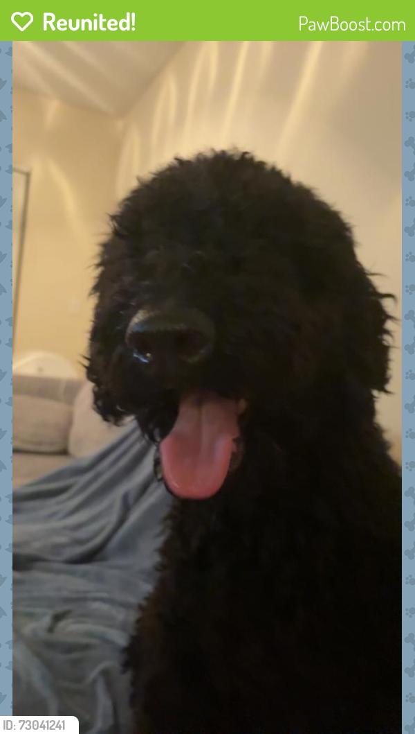 Reunited Unknown Dog last seen forest hill blvd and jog rd, Greenacres, FL 33413