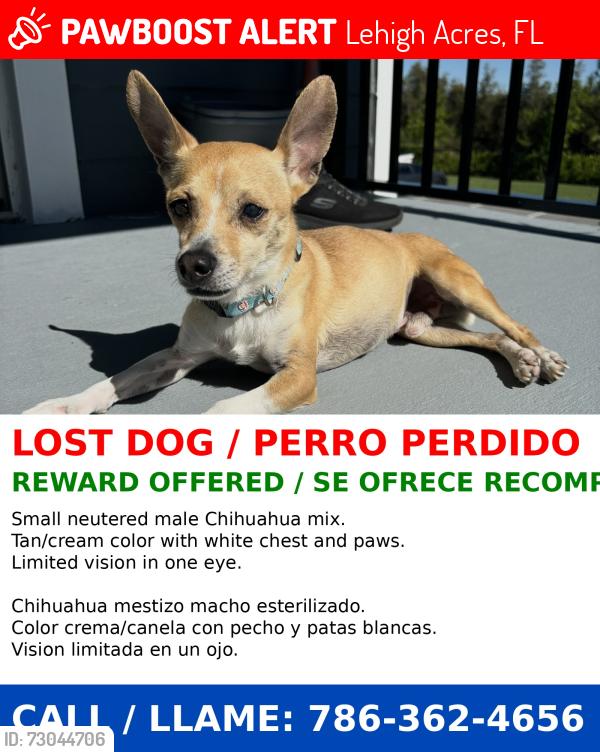 Lost Male Dog last seen Douglas Ln, Lehigh Acres, FL 33973