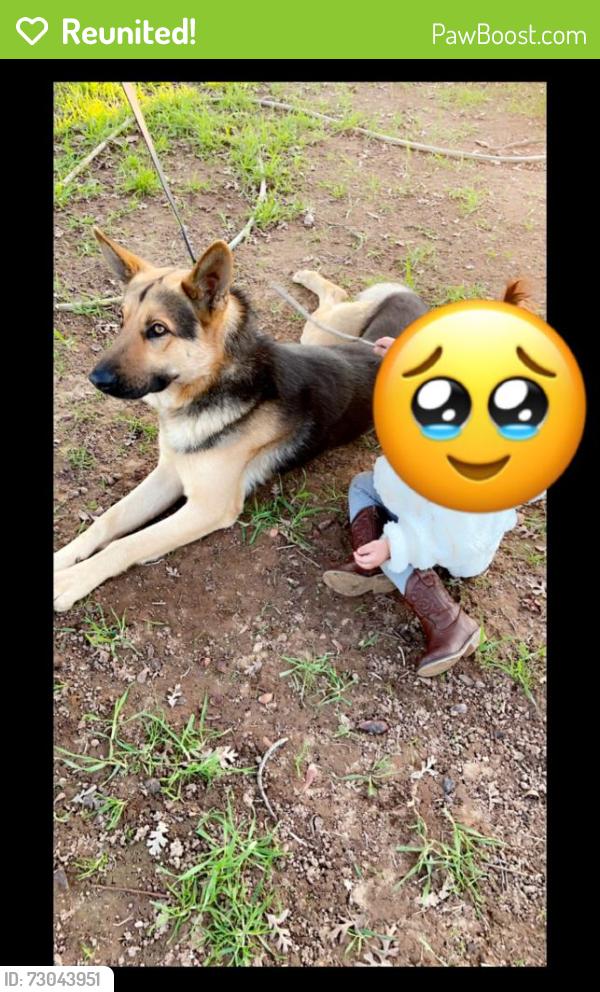 Reunited Male Dog last seen corcoran, Vallejo, CA 94589