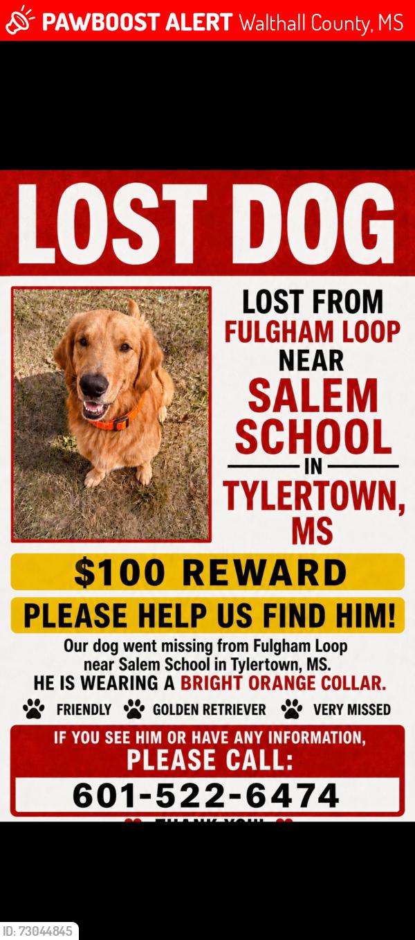 Lost Male Dog last seen fulgham loop tylertown ms, Walthall County, MS 39667