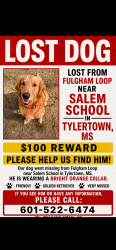 Lost Male Dog last seen fulgham loop tylertown ms, Walthall County, MS 39667