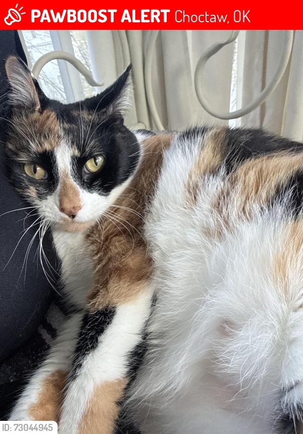 Lost Female Cat last seen loves, Choctaw, OK 73020