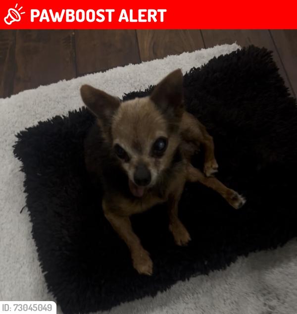 Lost Male Other last seen Gloucester st, East Los Angeles, CA 90022