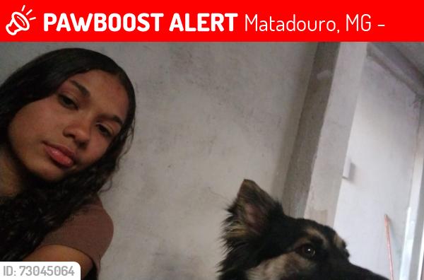 Lost Female Dog last seen Rua de terra, Matadouro, MG 34000-000